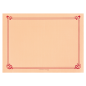 Image SETS DE TABLE  48 G/M2 31x43 CM SAUMON CELLULOSE (2000 UNITÉ) #1