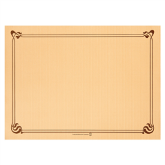 Image SETS DE TABLE 48 G/M2 31x43 CM CARAMEL CELLULOSE (2000 UNITÉ) #1