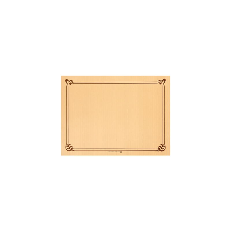 SETS DE TABLE  48 G/M2 31x43 CM CARAMEL CELLULOSE (2000 UNITÉ)