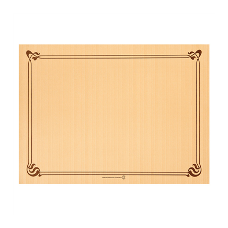 Image SETS DE TABLE  48 G/M2 31x43 CM CARAMEL CELLULOSE (2000 UNITÉ) #1
