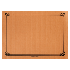 Image SETS DE TABLE 48 G/M2 31x43 CM HAVANE CELLULOSE (2000 UNITÉ) #1