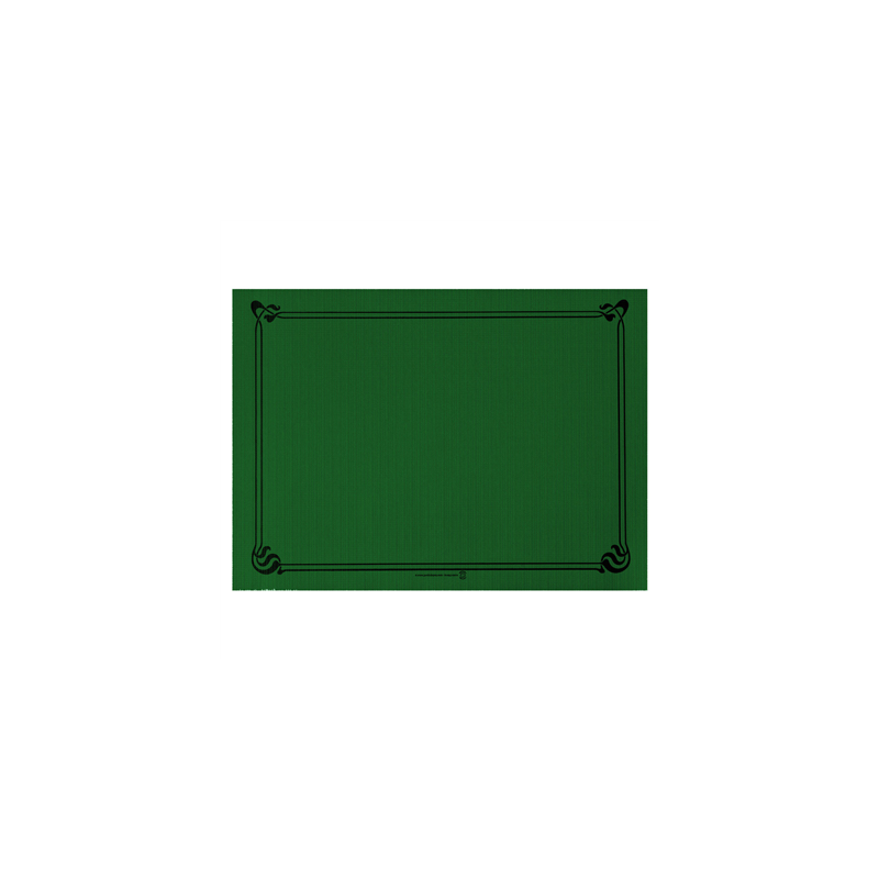 SETS DE TABLE  48 G/M2 31x43 CM VERT JAGUAR CELLULOSE (2000 UNITÉ)