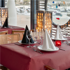 Image NAPPE EN ROULEAU  48 G/M2 1,20x100 M BORDEAUX CELLULOSE (4 UNITÉ) #3