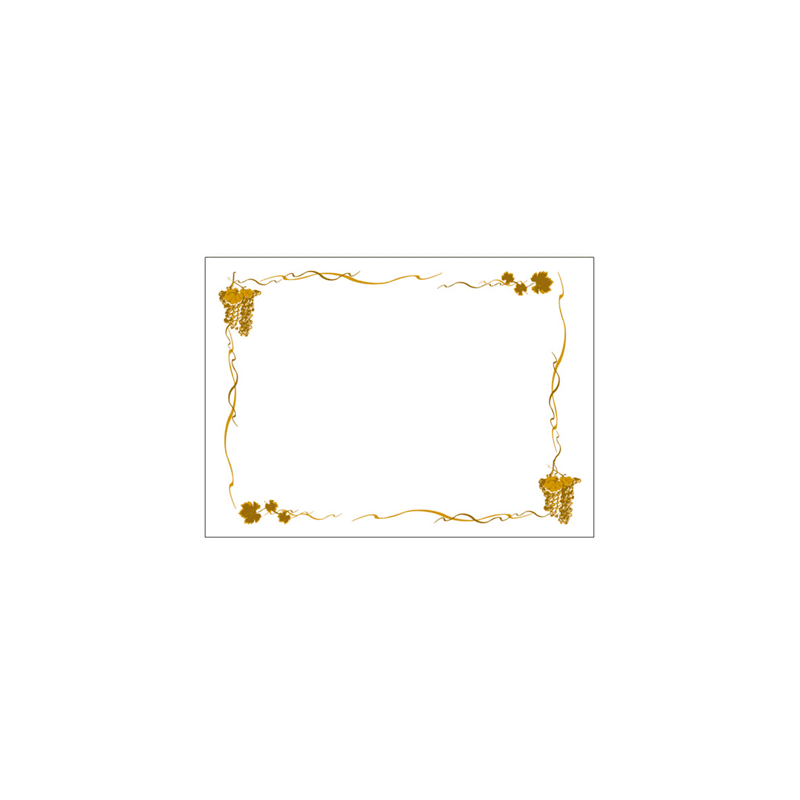 SETS DE TABLE 'BACCHUS' 48 G/M2 31x43 CM BLANC CELLULOSE (2000 UNITÉ)