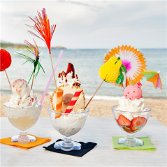 DÉCORS POUR GLACES "PAON"  Ø 8x10,5 CM ASSORTI BOIS (144 UNITÉ)