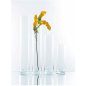 Image DÉCORATION GÉANTE - CYLINDRE  Ø 10x50 CM TRANSPARENT VERRE (1 UNITÉ) #3