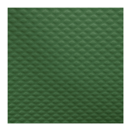 NAPPE EN ROULEAU  48 G/M2 1,20x7 M VERT JAGUAR CELLULOSE (25 UNITÉ)