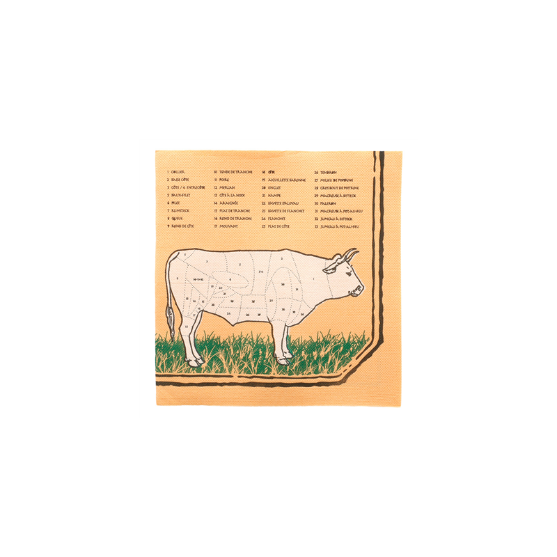 SERVIETTES ECOLABEL 'DOUBLE POINT - CHICAGO' 18 G/M2 40x40 CM ASSORTI OUATE (1200 UNITÉ)