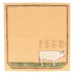 SERVIETTES ECOLABEL 'DOUBLE POINT - CHICAGO' 18 G/M2 40x40 CM ASSORTI OUATE (1200 UNITÉ)
