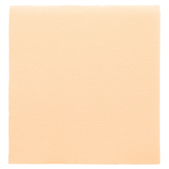 Image SERVIETTES ECOLABEL 'DOUBLE POINT' 18 G/M2 20x20 CM IVOIRE OUATE (2400 UNITÉ) #1