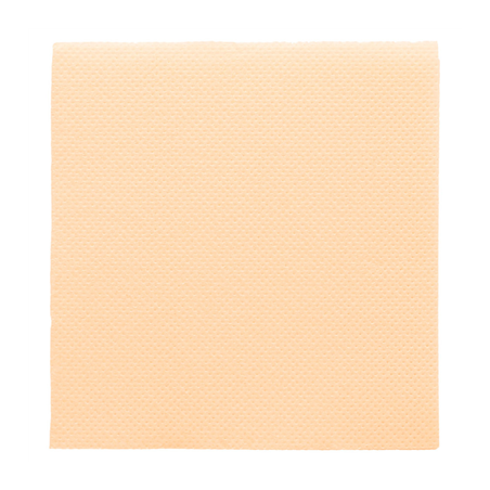 Image SERVIETTES ECOLABEL 'DOUBLE POINT' 18 G/M2 20x20 CM IVOIRE OUATE (2400 UNITÉ) #1