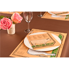 SETS DE TABLE 'CHICAGO' 48 G/M2 31x43 CM ASSORTI CELLULOSE (2000 UNITÉ)