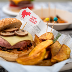 PIQUES BOULES COULEURS  6,5 (h) CM ASSORTI BAMBOU (144 UNITÉ)