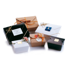 Image BOÎTES AMÉRICAINES MICRO-ONDABLES 2910 ML 400 G/M2+PP 21,7x21,7x6,4 CM NOIR CARTON (35 UNITÉ) #4