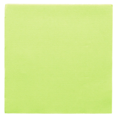 Image SERVIETTES ECOLABEL 'DOUBLE POINT' 18 G/M2 33x33 CM VERT ANIS OUATE (1200 UNITÉ) #1