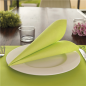 Image SERVIETTES ECOLABEL 'DOUBLE POINT' 18 G/M2 33x33 CM VERT ANIS OUATE (1200 UNITÉ) #3