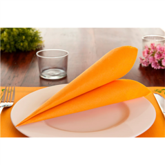 SERVIETTES ECOLABEL 'DOUBLE POINT' 18 G/M2 33x33 CM CLEMENTINE OUATE (1200 UNITÉ)