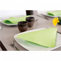 SERVIETTES ECOLABEL 'DOUBLE POINT' 18 G/M2 39x39 CM VERT ANIS OUATE (1200 UNITÉ)