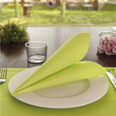 Image SERVIETTES ECOLABEL 'DOUBLE POINT' 18 G/M2 39x39 CM VERT ANIS OUATE (1200 UNITÉ) #4