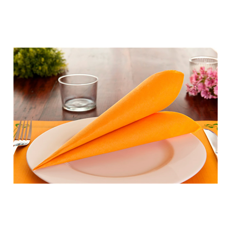 SERVIETTES ECOLABEL 'DOUBLE POINT' 18 G/M2 39x39 CM CLEMENTINE OUATE (1200 UNITÉ)