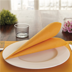 Image SERVIETTES ECOLABEL 'DOUBLE POINT' 18 G/M2 39x39 CM CLEMENTINE OUATE (1200 UNITÉ) #4