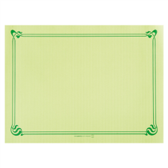 Image SETS DE TABLE 48 G/M2 31x43 CM VERT ANIS CELLULOSE (2000 UNITÉ) #1