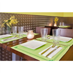 Image SETS DE TABLE  48 G/M2 31x43 CM VERT ANIS CELLULOSE (2000 UNITÉ) #3