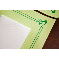 Image SETS DE TABLE  48 G/M2 31x43 CM VERT ANIS CELLULOSE (2000 UNITÉ) #5