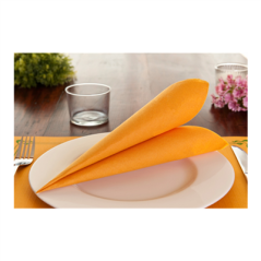 SETS DE TABLE 48 G/M2 31x43 CM CLEMENTINE CELLULOSE (2000 UNITÉ)