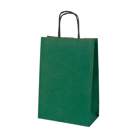 Image SACS SOS AVEC ANSES  80 G/M2 20+10x29 CM VERT KRAFT (250 UNITÉ) #1