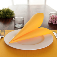 Image SERVIETTES ECOLABEL 'DOUBLE POINT' 18 G/M2 33x33 CM JAUNE SOLEIL OUATE (1200 UNITÉ) #3