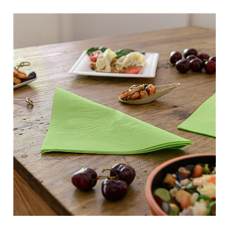 SERVIETTES ECOLABEL 2 PLIS  18 G/M2 39x39 CM VERT ANIS OUATE (1600 UNITÉ)