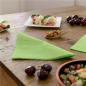 Image SERVIETTES ECOLABEL 2 PLIS  18 G/M2 39x39 CM VERT ANIS OUATE (1600 UNITÉ) #2