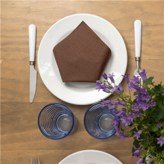 SERVIETTES ECOLABEL 2 PLIS 18 G/M2 39x39 CM CHOCOLAT OUATE (1600 UNITÉ)
