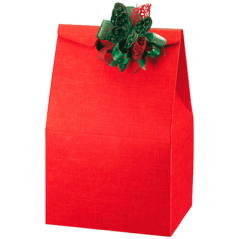 Image 50 U. SACS  28x20x41 CM ROUGE CARTON (1 UNITÉ) #1