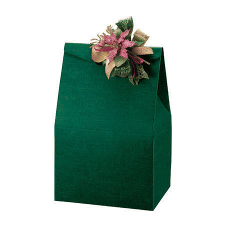 Image 50 U. SACS  28x20x41 CM VERT CARTON (1 UNITÉ) #1