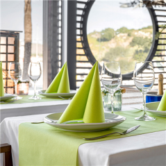 SERVIETTES 55 G/M2 40x40 CM KIWI AIRLAID (700 UNITÉ)