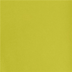 "TÊTE-À-TÊTE" PRÉ. 120CM (20 FEU.) 55 G/M2 0,40x24 M KIWI AIRLAID (6 UNITÉ)