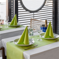 Image "TÊTE-À-TÊTE" PRÉ. 120CM (20 FEU.)  55 G/M2 0,40x24 M KIWI AIRLAID (6 UNITÉ) #3