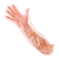 Image GANTS LONGS  55x30 CM TRANSLUCIDE LDPE (2500 UNITÉ) #1