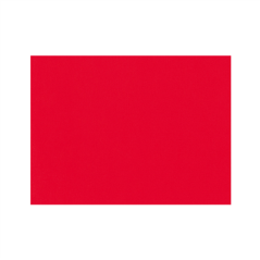 Image SETS DE TABLE 'SPUNBOND' 60 G/M2 30x40 CM ROUGE PP (800 UNITÉ) #1