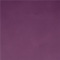 Image "TÊTE-À-TÊTE" PRÉ. 120 CM (40 FEU.) 'SPUNBOND' 60 G/M2 0,4x48 M VIOLET PP (6 UNITÉ) #2