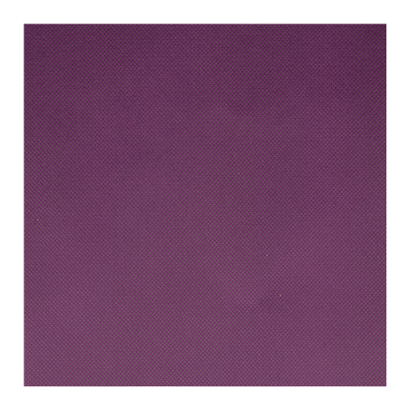 NAPPE PRÉ-DÉCOUPÉE 120 CM 'SPUNBOND' 60 G/M2 1,20x50,4 M VIOLET PP (1 UNITÉ)
