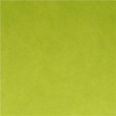 NAPPE 'SPUNBOND' 60 G/M2 1,20x50 M LIME PP (1 UNITÉ)