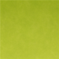 Image NAPPE 'SPUNBOND' 60 G/M2 1,20x50 M LIME PP (1 UNITÉ) #2