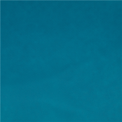 NAPPE 'SPUNBOND' 60 G/M2 1,20x50 M TURQUOISE PP (1 UNITÉ)