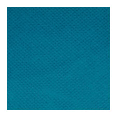 NAPPE 'SPUNBOND' 60 G/M2 1,20x50 M TURQUOISE PP (1 UNITÉ)