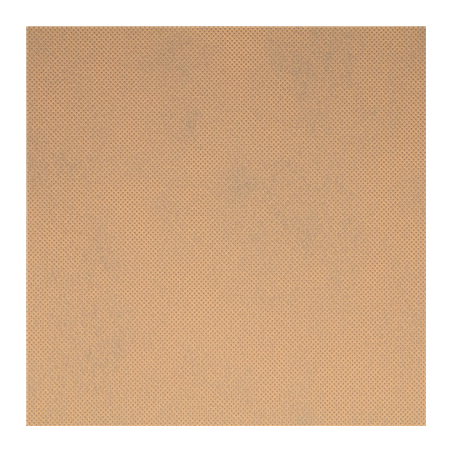 NAPPE 'SPUNBOND' 60 G/M2 1,20x50 M SABLE PP (1 UNITÉ)