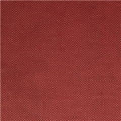 NAPPE 'SPUNBOND' 60 G/M2 1,20x50 M BORDEAUX PP (1 UNITÉ)