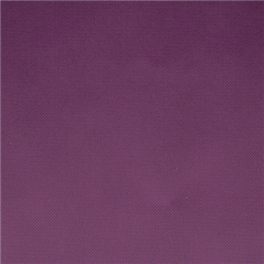 NAPPE 'SPUNBOND' 60 G/M2 1,20x50 M VIOLET PP (1 UNITÉ)